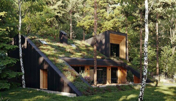 معماری و زمین، فرصت معمارِ عصر تازه