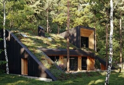 معماری و زمین، فرصت معمارِ عصر تازه