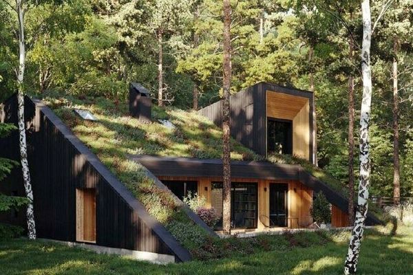 معماری و زمین، فرصت معمارِ عصر تازه