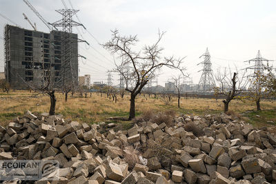 زمینخواری و دروغنامه مسکن در دوازده گزاره