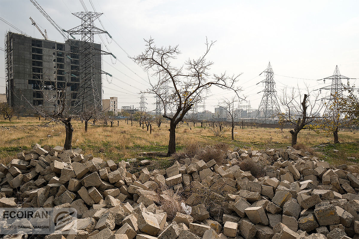 زمینخواری و دروغنامه مسکن در دوازده گزاره