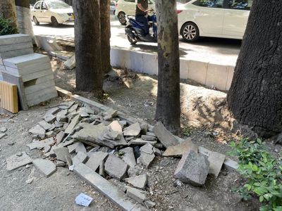 طرح بازسازی جوی خیابان ولیعصر میراث چنارستان را تهدید می‌کند